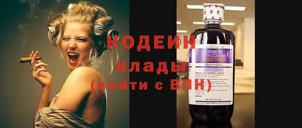 шишки Сосновка