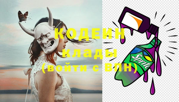 шишки Сосновка