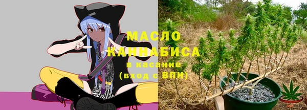 шишки Сосновка