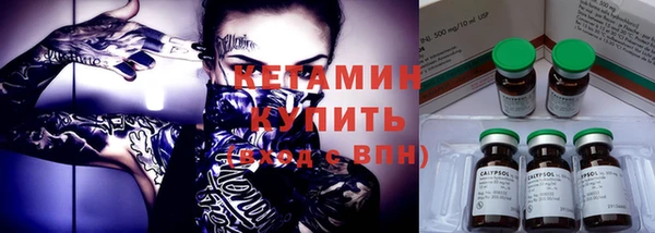 шишки Сосновка