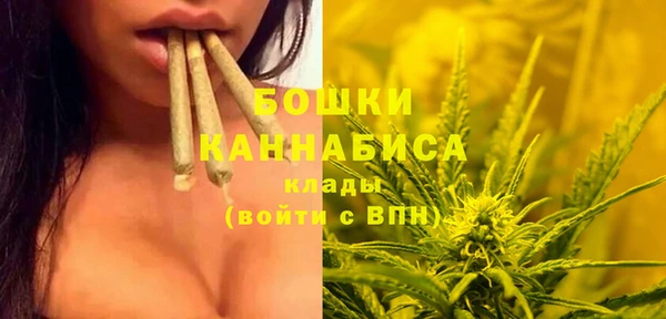 сатива Сосновоборск